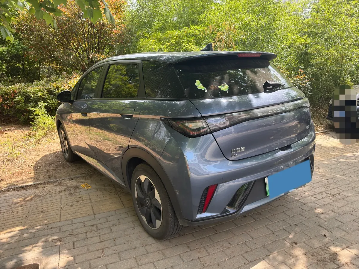 2024 BYD Dolphin BEV 44.928KWH,autocango,china used car exporter,china ev exporter,chinese used car exporter,chinese used ev exporter