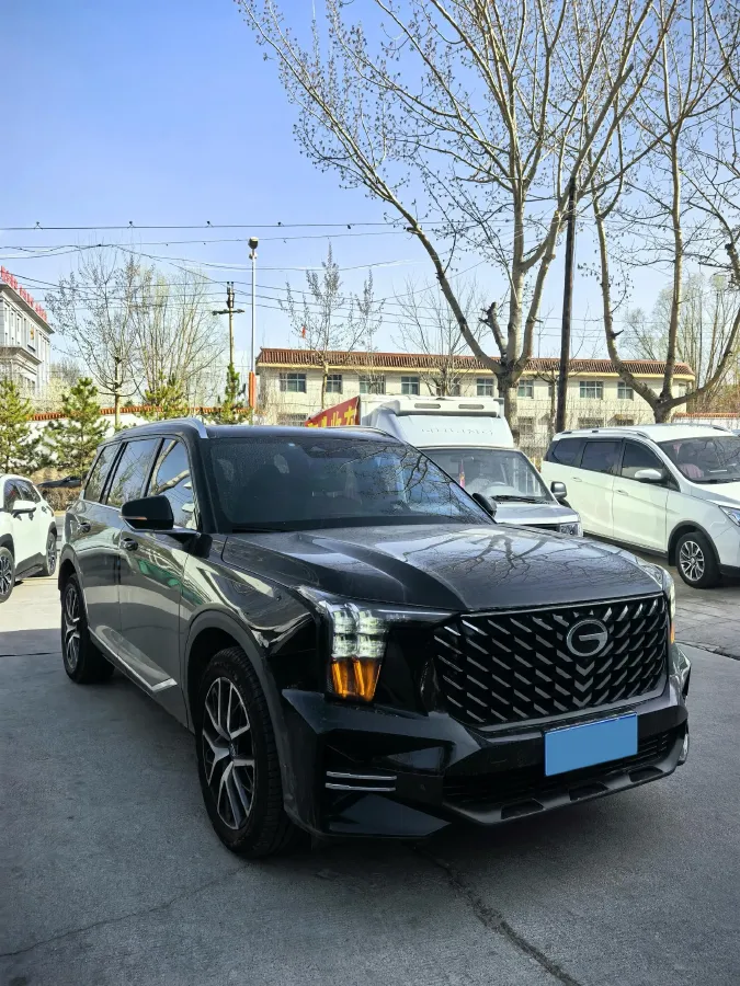 2025 GAC Trumpchi GS8 2.0T 252HP L4 8AT,autocango,china used car exporter,china ev exporter,chinese used car exporter,chinese used ev exporter