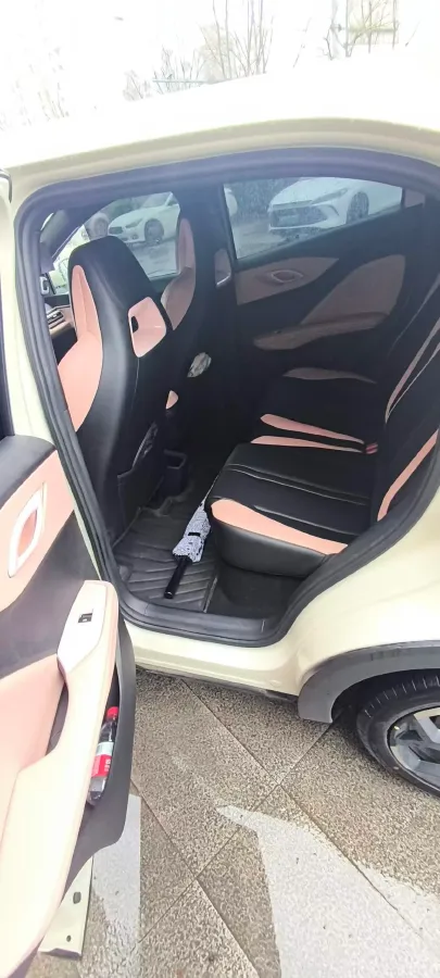 2025 BYD Seagull BEV 30.08KWH,autocango,china used car exporter,china ev exporter,chinese used car exporter,chinese used ev exporter