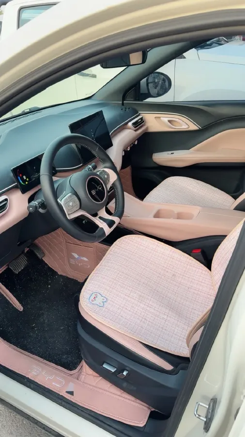 2025 BYD Seagull BEV 30.08KWH,autocango,china used car exporter,china ev exporter,chinese used car exporter,chinese used ev exporter