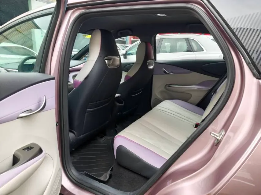 2024 BYD Dolphin BEV 44.928KWH,autocango,china used car exporter,china ev exporter,chinese used car exporter,chinese used ev exporter