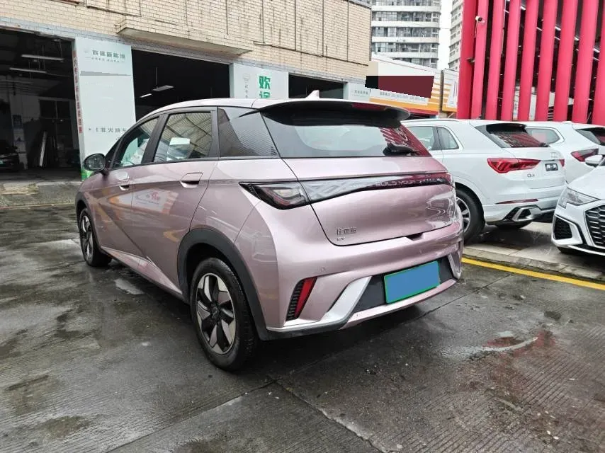 2024 BYD Dolphin BEV 44.928KWH,autocango,china used car exporter,china ev exporter,chinese used car exporter,chinese used ev exporter