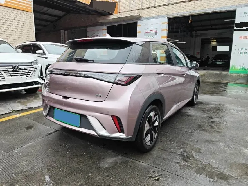 2024 BYD Dolphin BEV 44.928KWH,autocango,china used car exporter,china ev exporter,chinese used car exporter,chinese used ev exporter