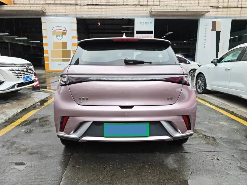 2024 BYD Dolphin BEV 44.928KWH,autocango,china used car exporter,china ev exporter,chinese used car exporter,chinese used ev exporter