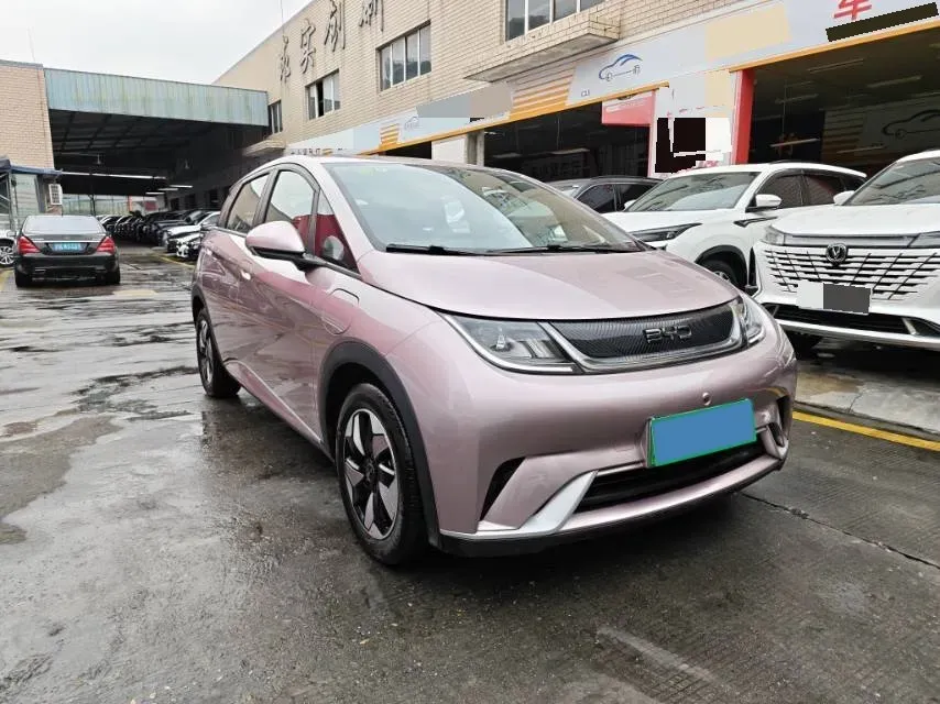 2024 BYD Dolphin BEV 44.928KWH,autocango,china used car exporter,china ev exporter,chinese used car exporter,chinese used ev exporter