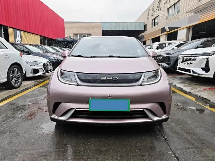 2024 BYD Dolphin BEV 44.928KWH,autocango,china used car exporter,china ev exporter,chinese used car exporter,chinese used ev exporter