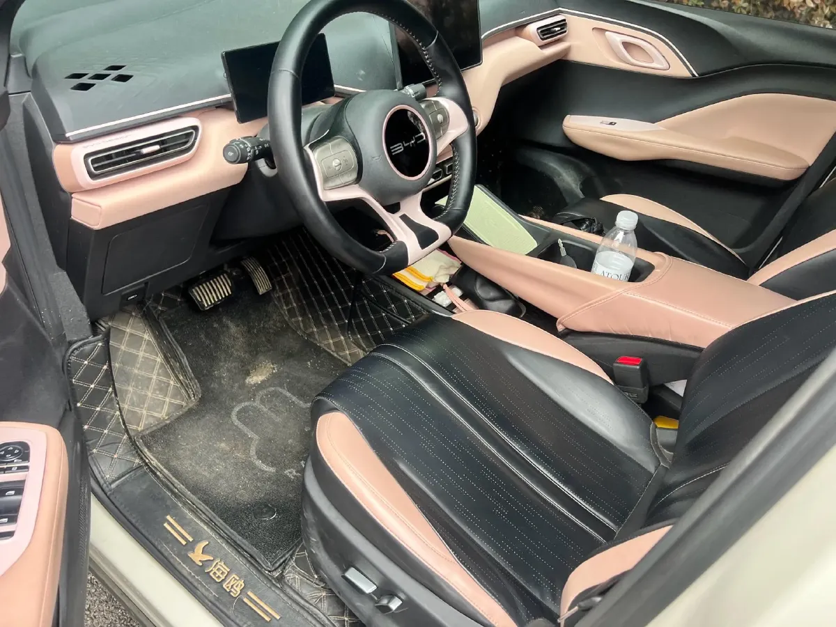 2023 BYD Seagull BEV 38.88KWH,autocango,china used car exporter,china ev exporter,chinese used car exporter,chinese used ev exporter