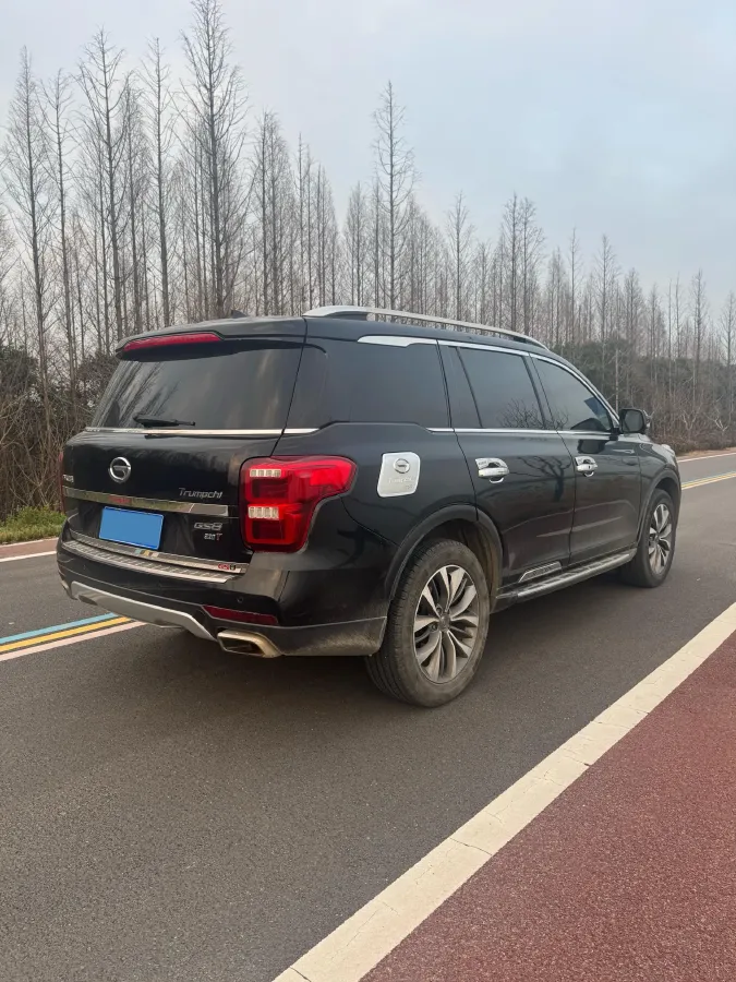 2017 GAC Trumpchi GS8 2.0T 201HP L4 6AT,autocango,china used car exporter,china ev exporter,chinese used car exporter,chinese used ev exporter