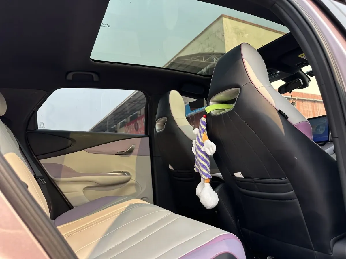 2021 BYD Yuan Pro BEV 50.1KWH,autocango,china used car exporter,china ev exporter,chinese used car exporter,chinese used ev exporter