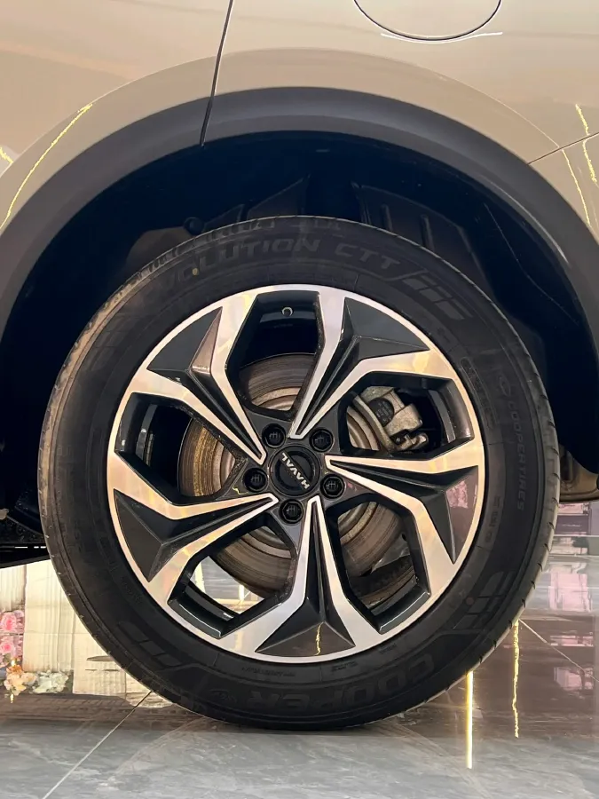 2025 Haval Fierce Dragon MAX 1.5L 116HP L4 2DHT PHEV,autocango,china used car exporter,china ev exporter,chinese used car exporter,chinese used ev exporter