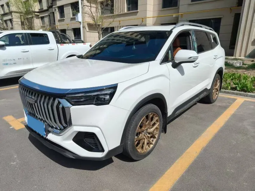2024 Geely Okavango L 2.0T 218HP L4 7DCT,autocango,china used car exporter,china ev exporter,chinese used car exporter,chinese used ev exporter