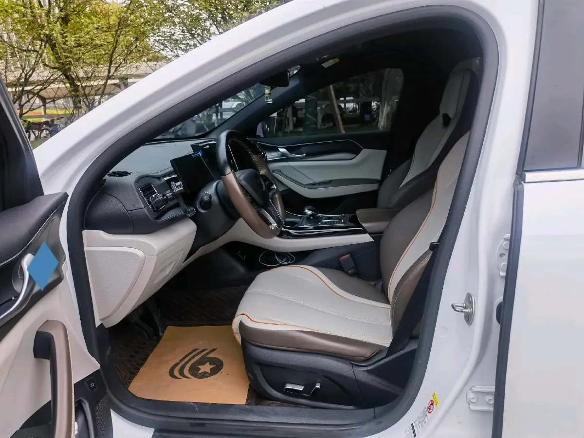 2023 BYD Qin Plus BEV 48KWH,autocango,china used car exporter,china ev exporter,chinese used car exporter,chinese used ev exporter