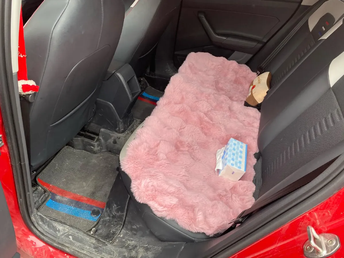 2023 Volkswagen Polo 1.5L 110HP L4 6AT,autocango,china used car exporter,china ev exporter,chinese used car exporter,chinese used ev exporter