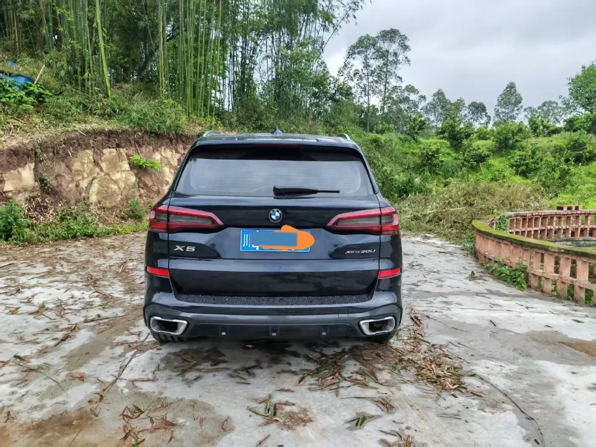 2022 BMW X5 2.0T 245HP L4 8AT,autocango,china used car exporter,china ev exporter,chinese used car exporter,chinese used ev exporter