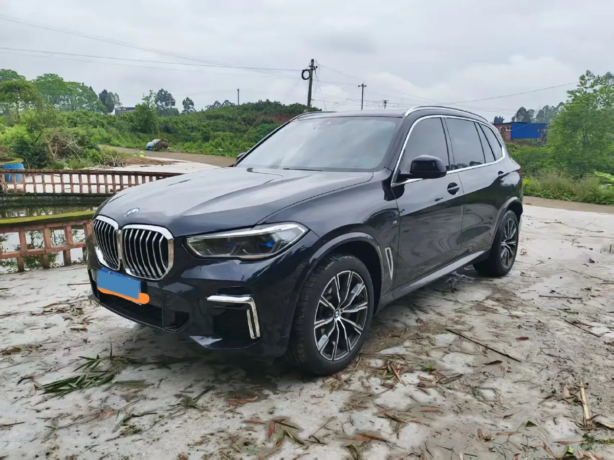 2022 BMW X5 2.0T 245HP L4 8AT,autocango,china used car exporter,china ev exporter,chinese used car exporter,chinese used ev exporter