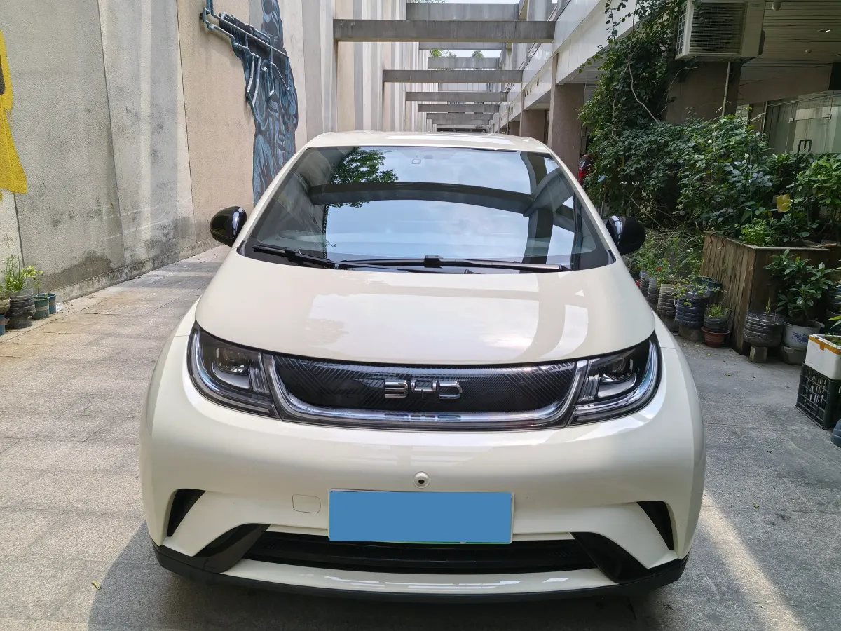 2025 BYD Dolphin BEV 44.928KWH,autocango,china used car exporter,china ev exporter,chinese used car exporter,chinese used ev exporter