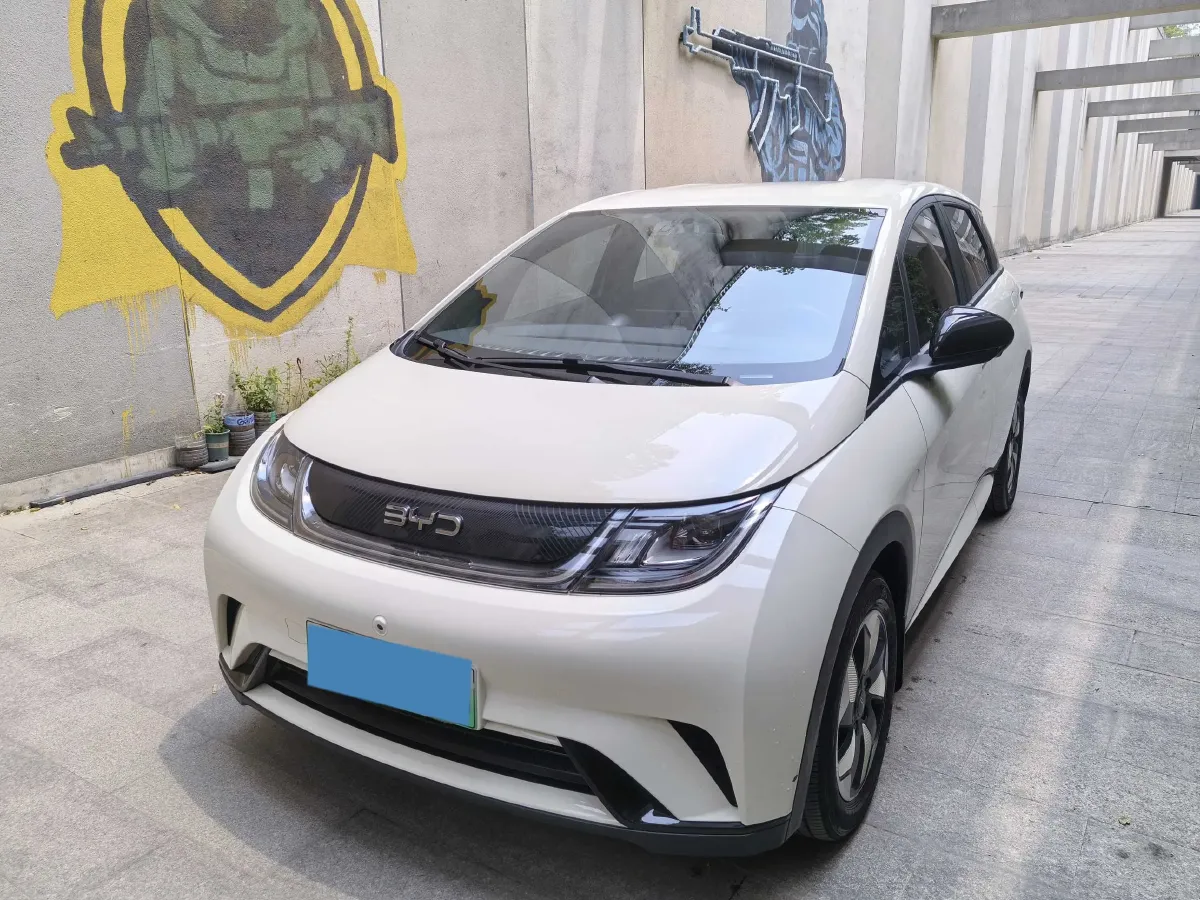 2025 BYD Dolphin BEV 44.928KWH,autocango,china used car exporter,china ev exporter,chinese used car exporter,chinese used ev exporter