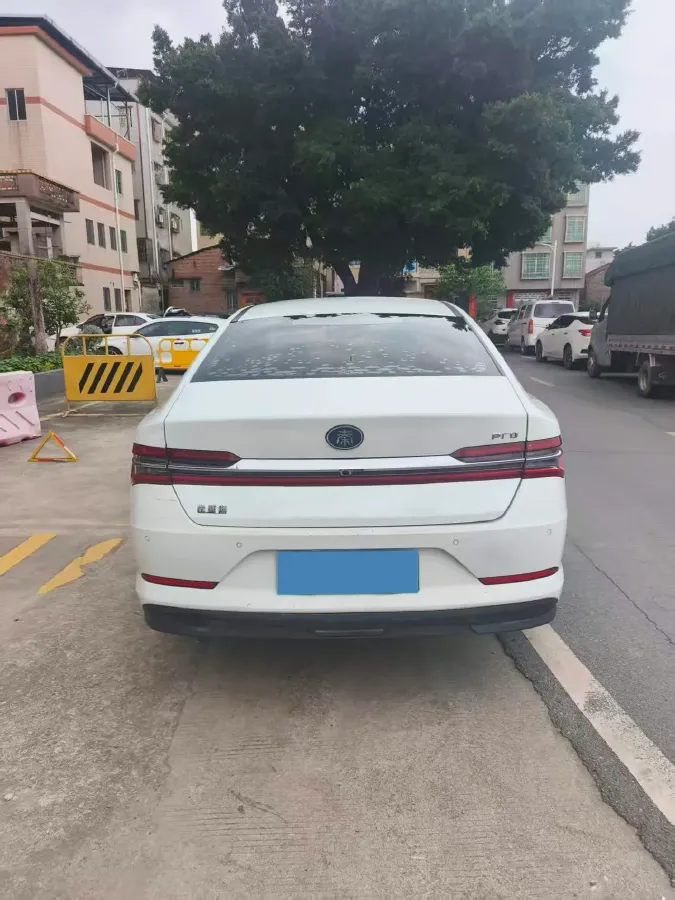 2019 BYD Qin Pro BEV 53.1KWH,autocango,china used car exporter,china ev exporter,chinese used car exporter,chinese used ev exporter