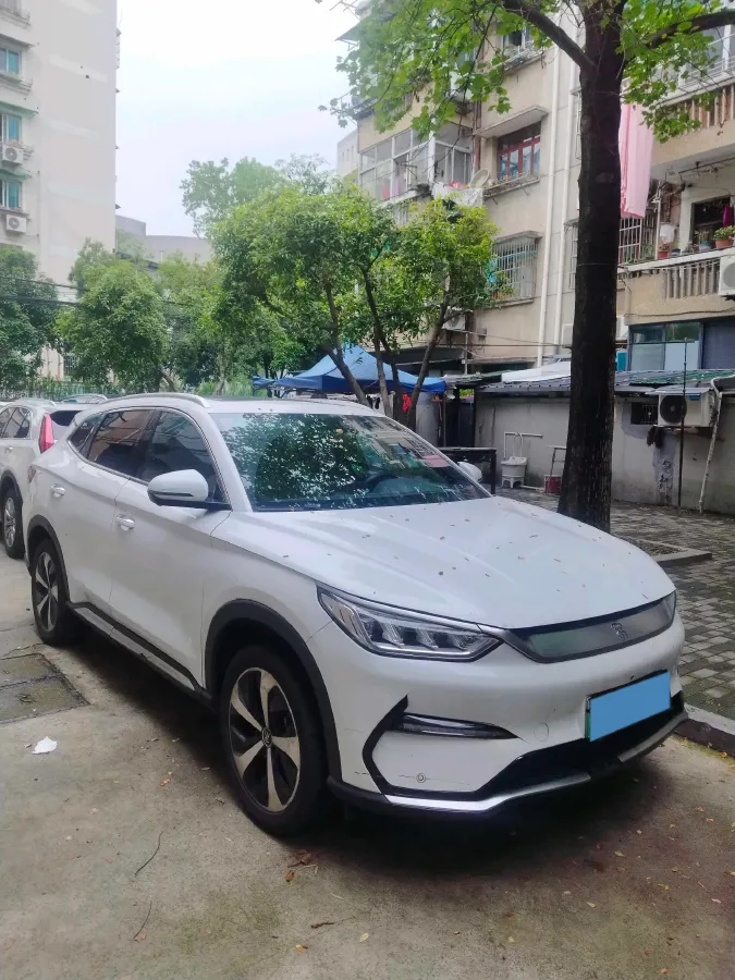 2021 BYD Qin BEV 53.56KWH,autocango,china used car exporter,china ev exporter,chinese used car exporter,chinese used ev exporter
