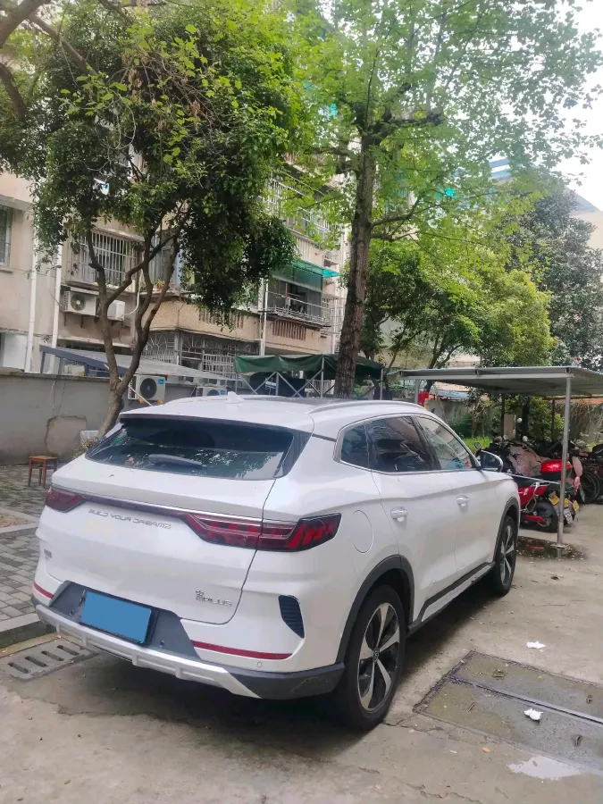 2021 BYD Qin BEV 53.56KWH,autocango,china used car exporter,china ev exporter,chinese used car exporter,chinese used ev exporter