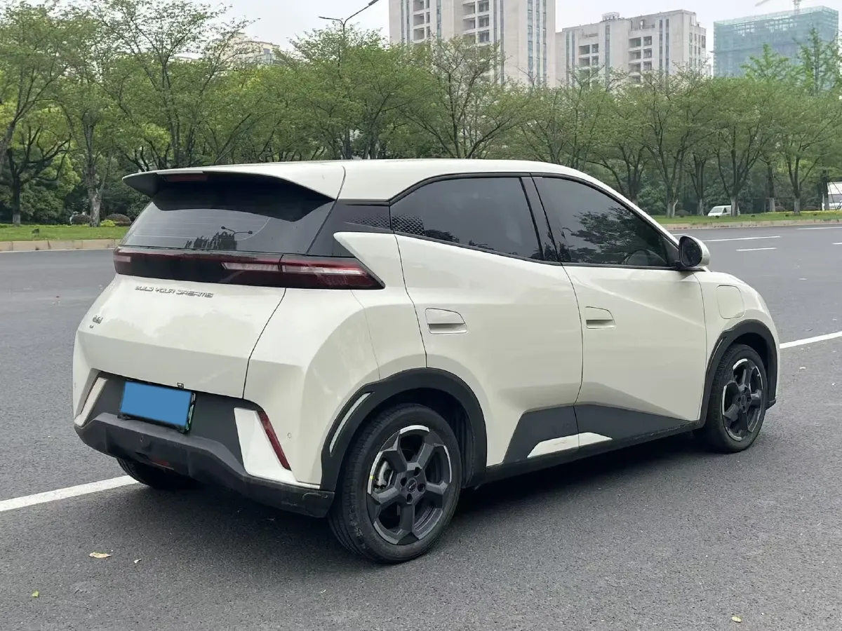 2024 BYD Seagull BEV 30.08KWH,autocango,china used car exporter,china ev exporter,chinese used car exporter,chinese used ev exporter