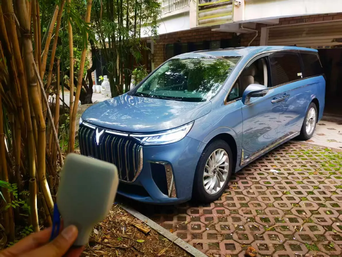 2022 Voyah Dream 1.5T 136HP L4 PHEV 25.57KWH,autocango,china used car exporter,china ev exporter,chinese used car exporter,chinese used ev exporter