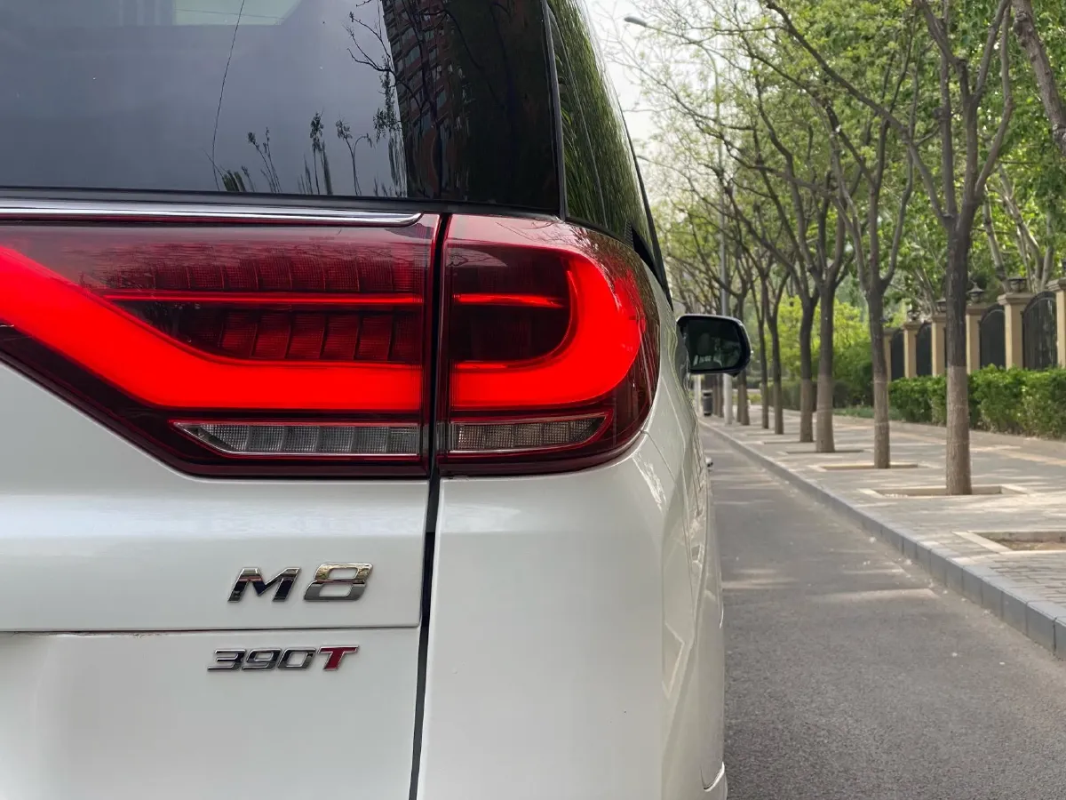 2021 GAC Trumpchi M8 2.0T 252HP L4 8AT,autocango,china used car exporter,china ev exporter,chinese used car exporter,chinese used ev exporter