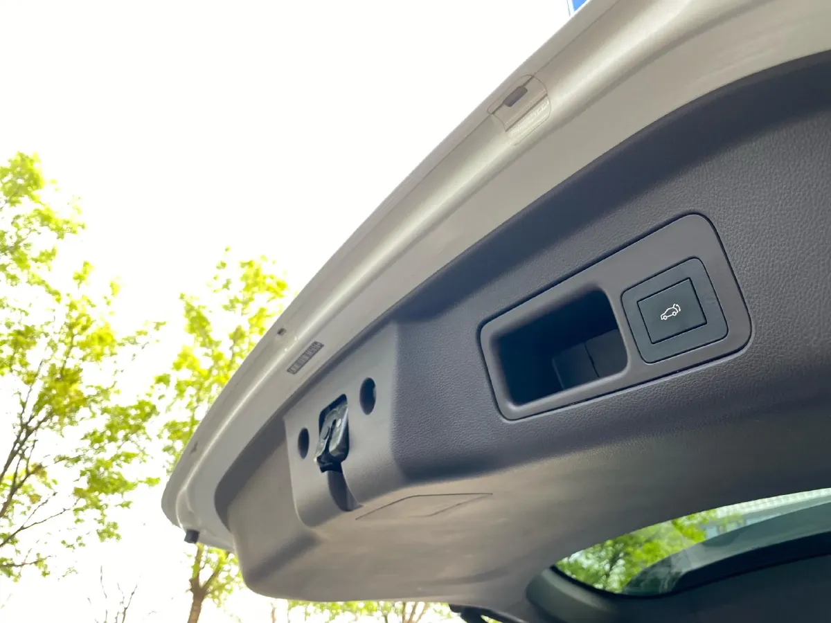 2021 GAC Trumpchi M8 2.0T 252HP L4 8AT,autocango,china used car exporter,china ev exporter,chinese used car exporter,chinese used ev exporter