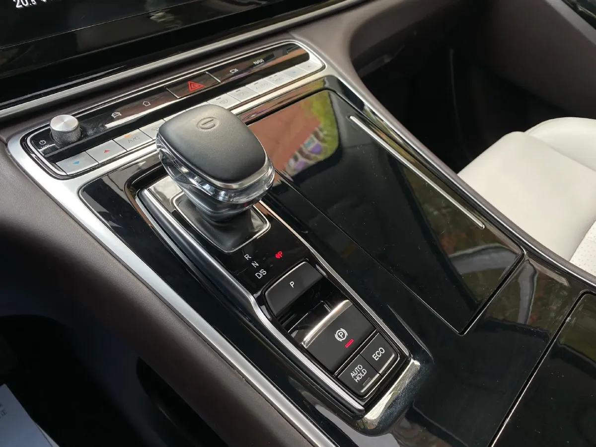 2021 GAC Trumpchi M8 2.0T 252HP L4 8AT,autocango,china used car exporter,china ev exporter,chinese used car exporter,chinese used ev exporter