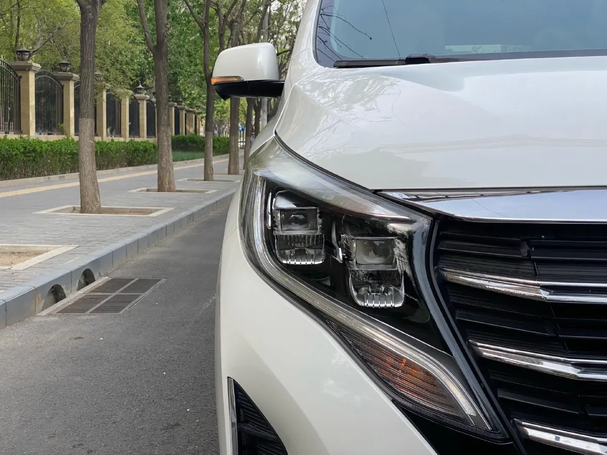 2021 GAC Trumpchi M8 2.0T 252HP L4 8AT,autocango,china used car exporter,china ev exporter,chinese used car exporter,chinese used ev exporter