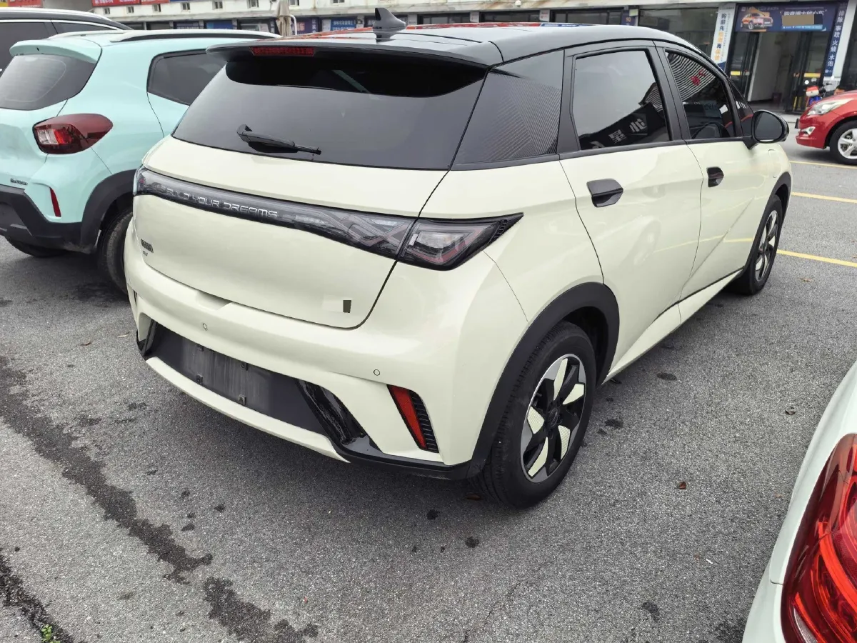 2024 BYD Dolphin BEV 44.928KWH,autocango,china used car exporter,china ev exporter,chinese used car exporter,chinese used ev exporter