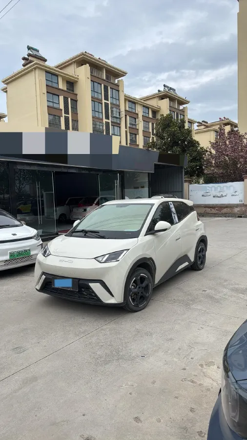 2023 BYD Seagull BEV 30.08KWH,autocango,china used car exporter,china ev exporter,chinese used car exporter,chinese used ev exporter