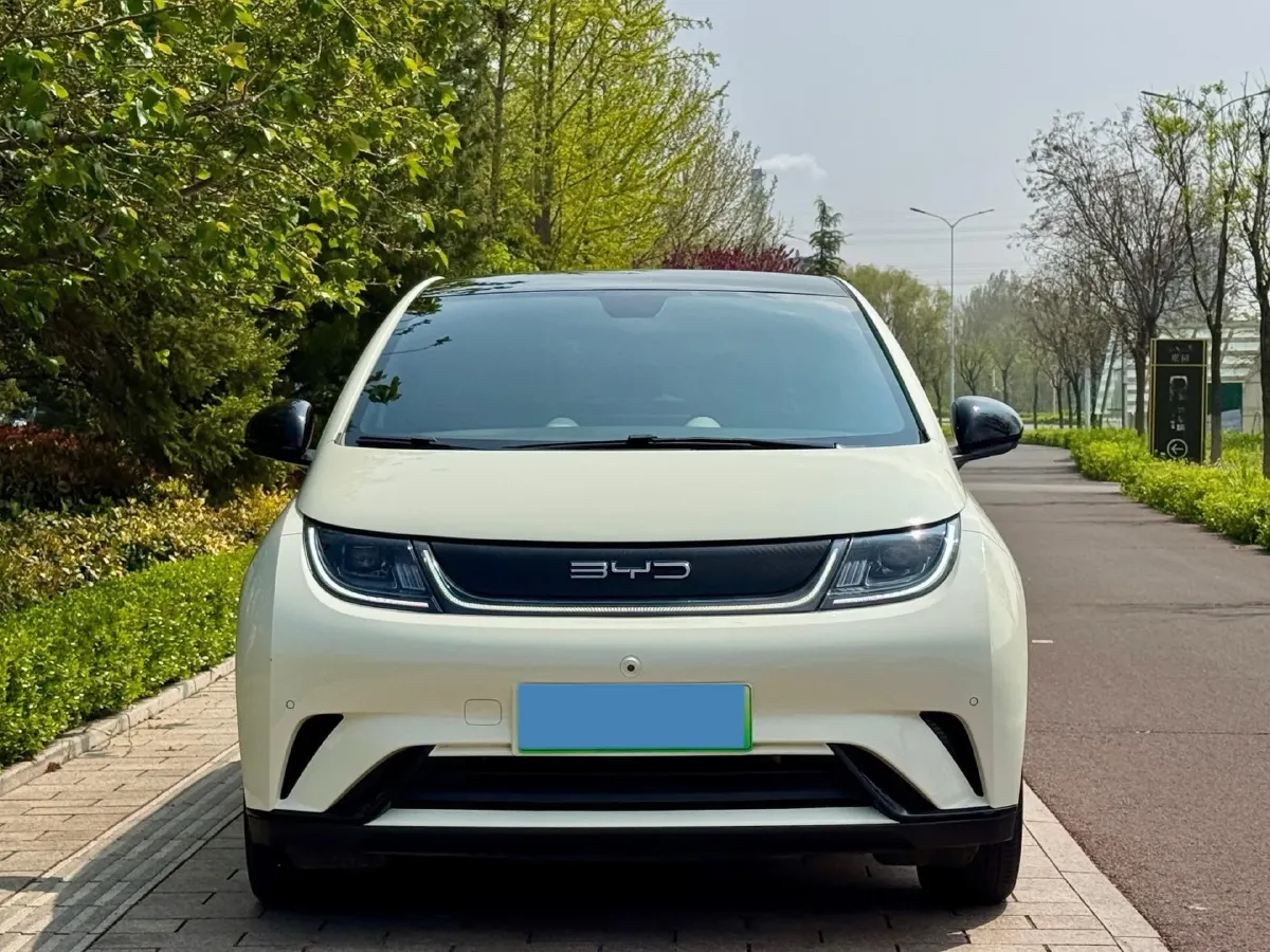 2023 BYD Dolphin BEV 44.928KWH,autocango,china used car exporter,china ev exporter,chinese used car exporter,chinese used ev exporter