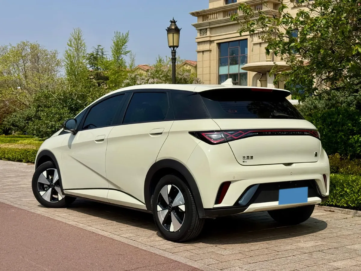 2023 BYD Dolphin BEV 44.928KWH,autocango,china used car exporter,china ev exporter,chinese used car exporter,chinese used ev exporter