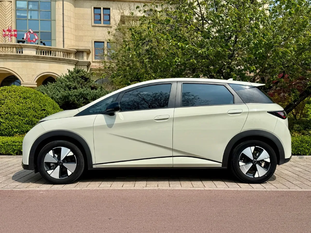 2023 BYD Dolphin BEV 44.928KWH,autocango,china used car exporter,china ev exporter,chinese used car exporter,chinese used ev exporter