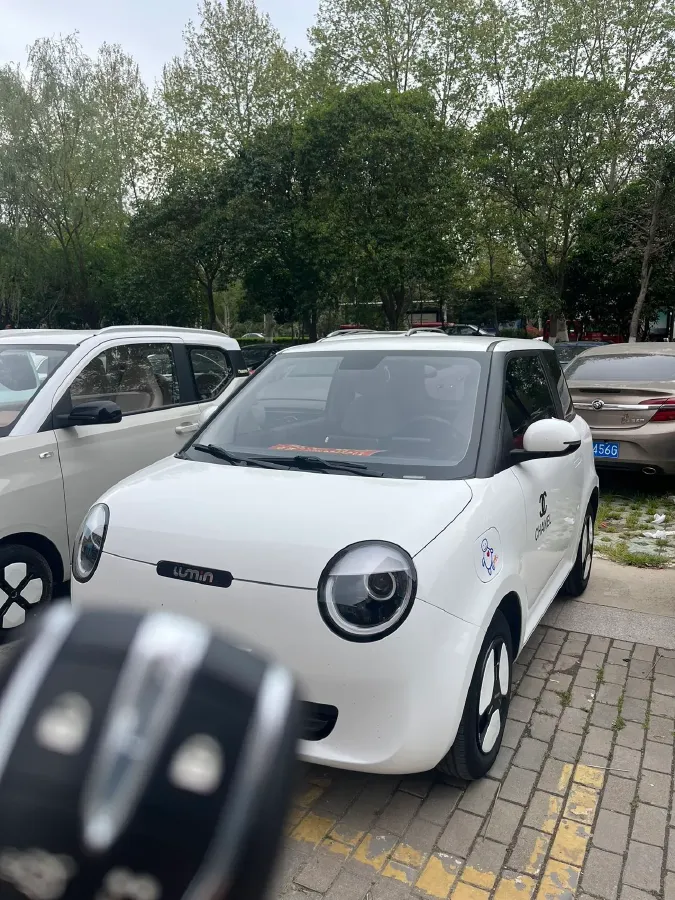 2022 Levdeo Mango BEV 17.28KWH,autocango,china used car exporter,china ev exporter,chinese used car exporter,chinese used ev exporter