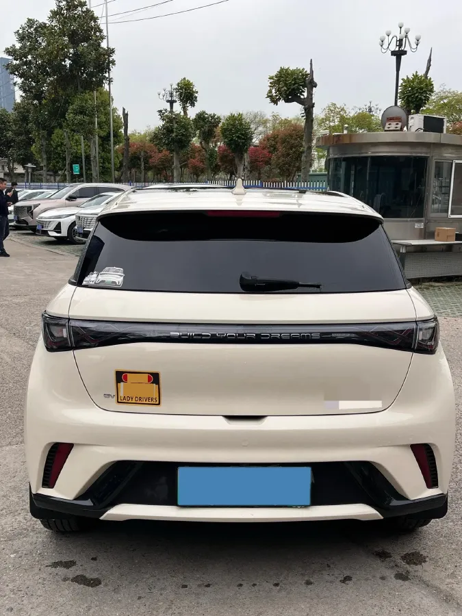 2025 BYD Dolphin BEV 44.928KWH,autocango,china used car exporter,china ev exporter,chinese used car exporter,chinese used ev exporter