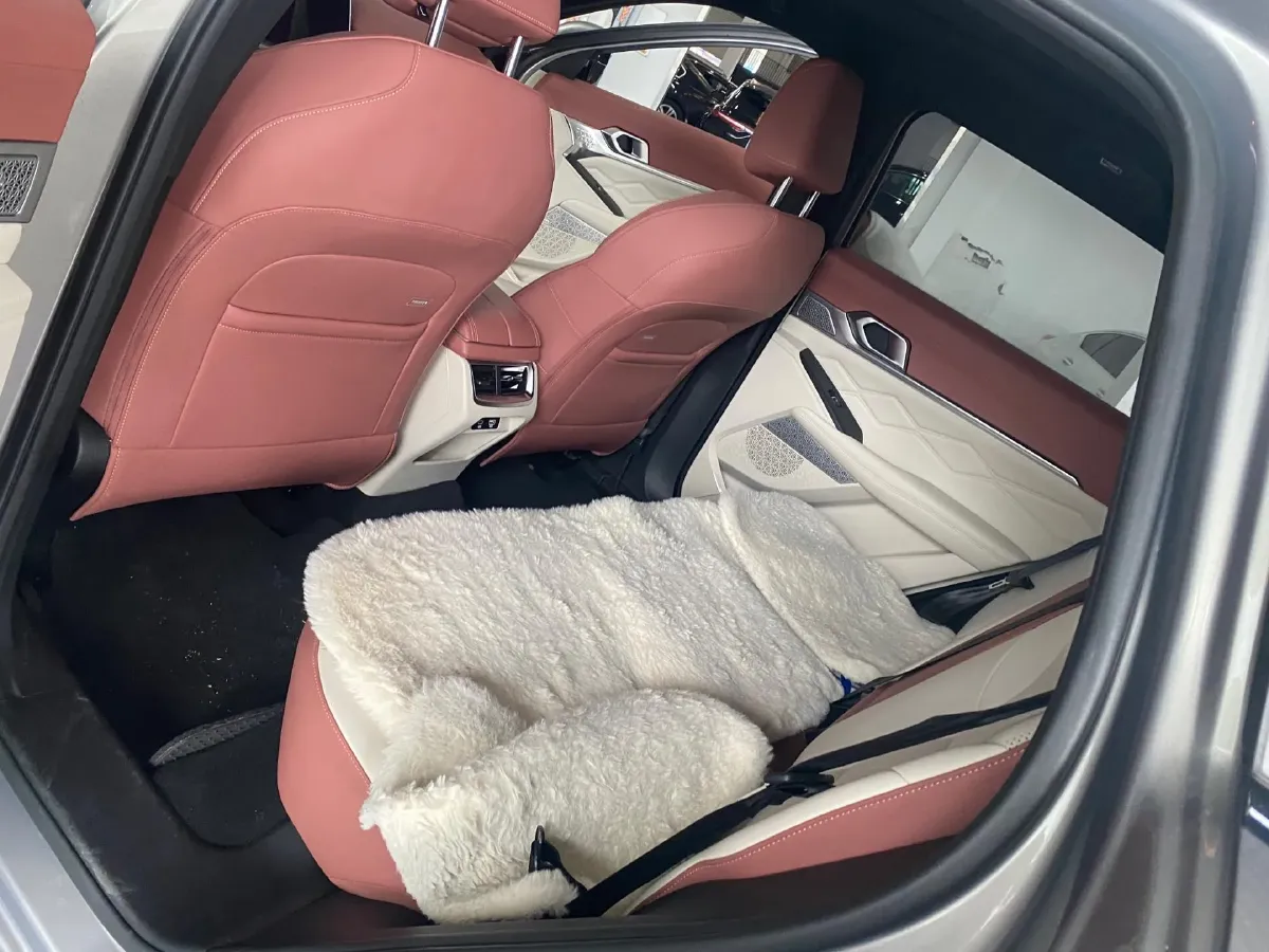 2022 Haval XY 2.0T 224HP L4 7DCT,autocango,china used car exporter,china ev exporter,chinese used car exporter,chinese used ev exporter