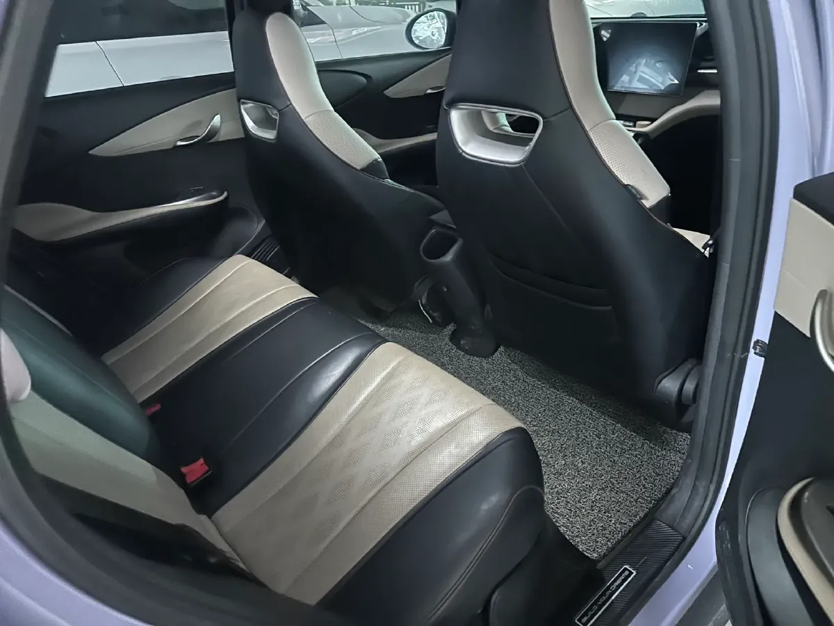 2023 BYD Dolphin BEV 44.928KWH,autocango,china used car exporter,china ev exporter,chinese used car exporter,chinese used ev exporter