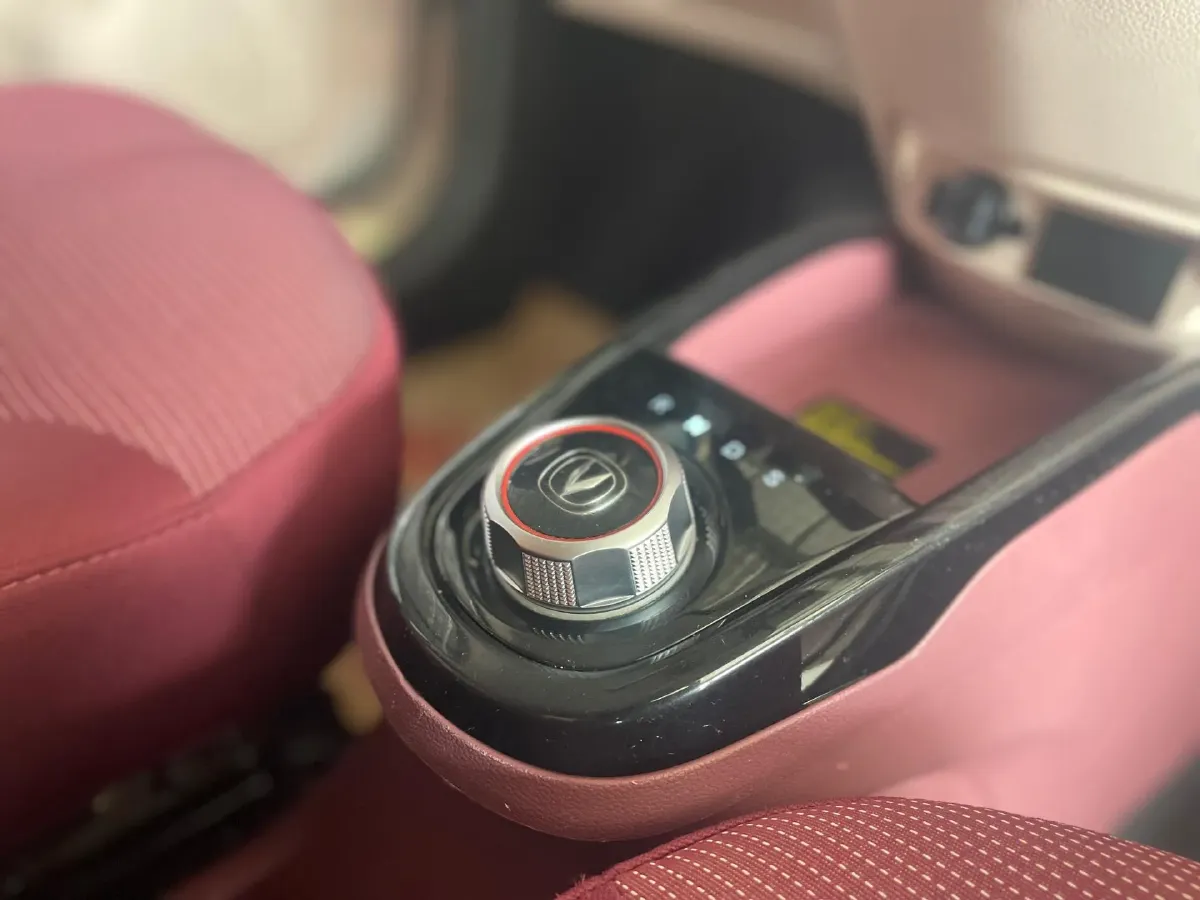 2021 ChangAn BenBen E-Star BEV 31.18KWH,autocango,china used car exporter,china ev exporter,chinese used car exporter,chinese used ev exporter