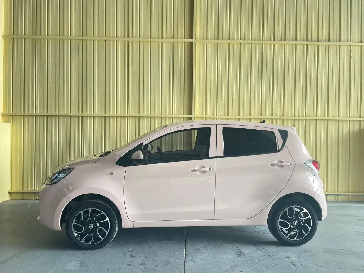2021 ChangAn BenBen E-Star BEV 31.18KWH,autocango,china used car exporter,china ev exporter,chinese used car exporter,chinese used ev exporter