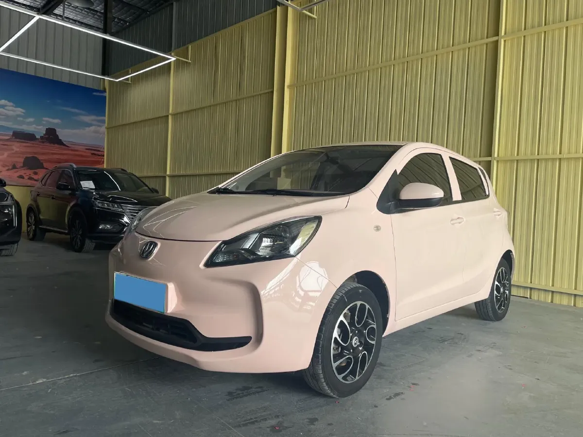 2021 ChangAn BenBen E-Star BEV 31.18KWH,autocango,china used car exporter,china ev exporter,chinese used car exporter,chinese used ev exporter