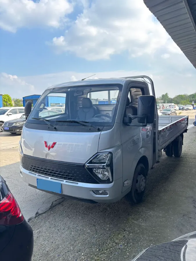 2023 WuLing Loong Truck 2.0L 136HP L4 5MT,autocango,china used car exporter,china ev exporter,chinese used car exporter,chinese used ev exporter