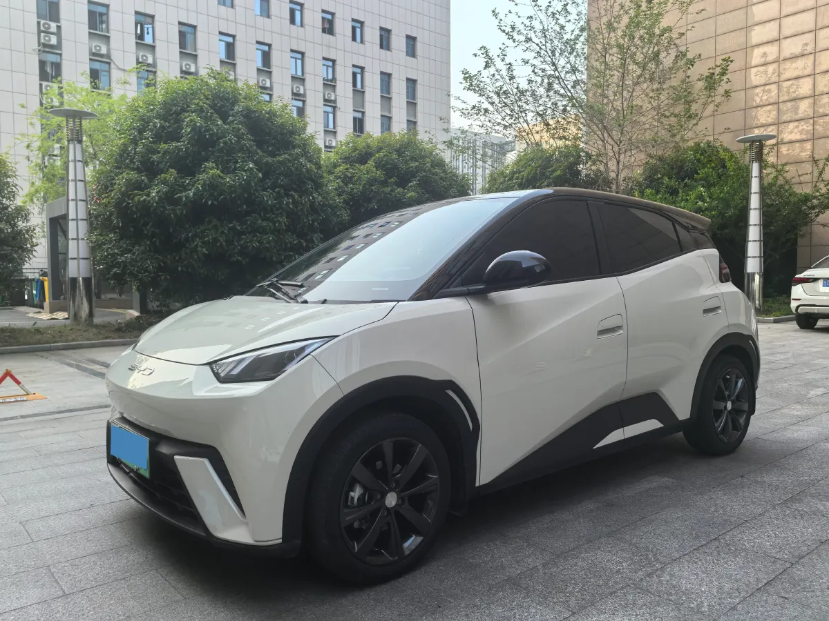 2023 BYD Seagull BEV 30.08KWH,autocango,china used car exporter,china ev exporter,chinese used car exporter,chinese used ev exporter