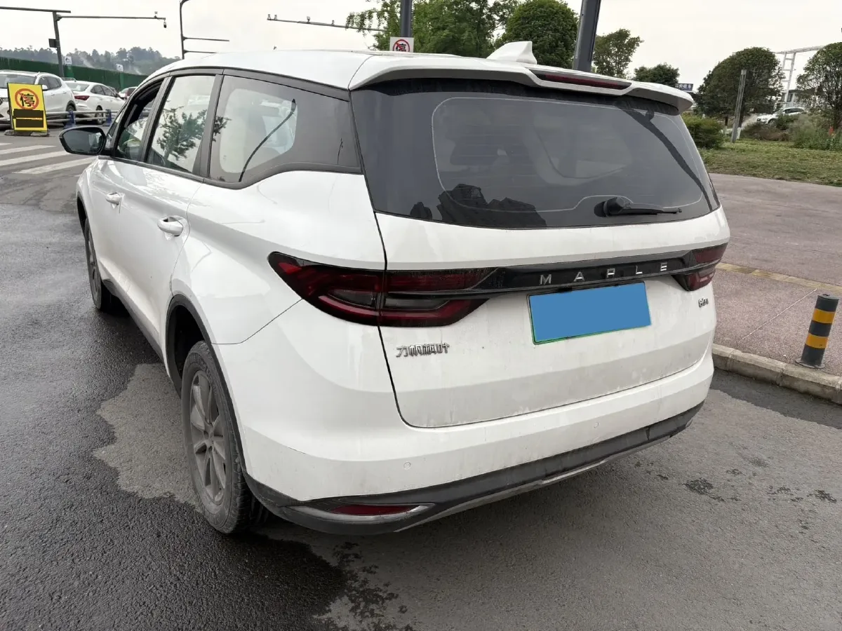2021 Livan Maple 80v BEV 53KWH,autocango,china used car exporter,china ev exporter,chinese used car exporter,chinese used ev exporter