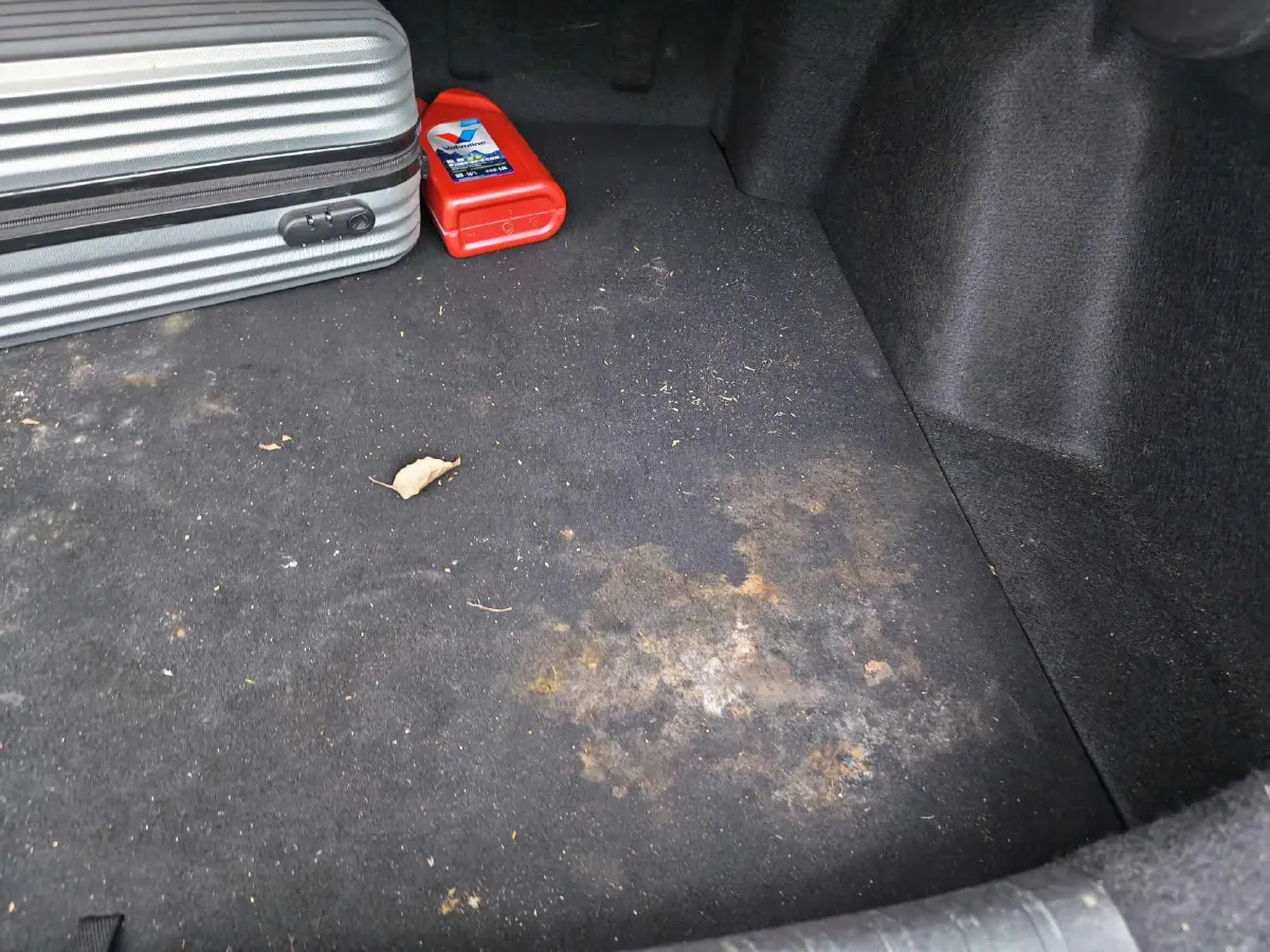 2020 ChangAn Eado 1.4T 158HP L4 7DCT,autocango,china used car exporter,china ev exporter,chinese used car exporter,chinese used ev exporter