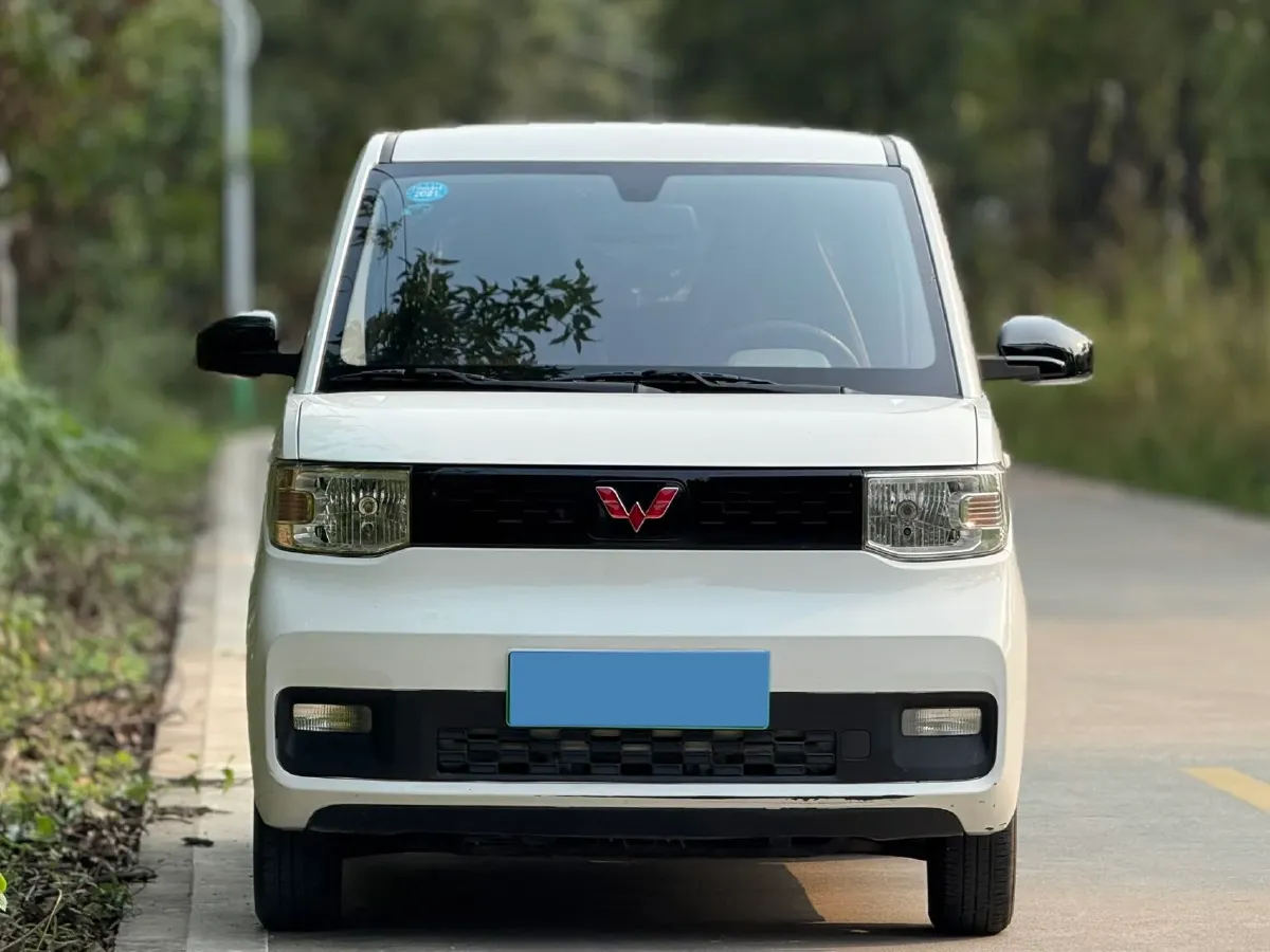2020 WuLing HongGuang MINI EV BEV 9KWH,autocango,china used car exporter,china ev exporter,chinese used car exporter,chinese used ev exporter