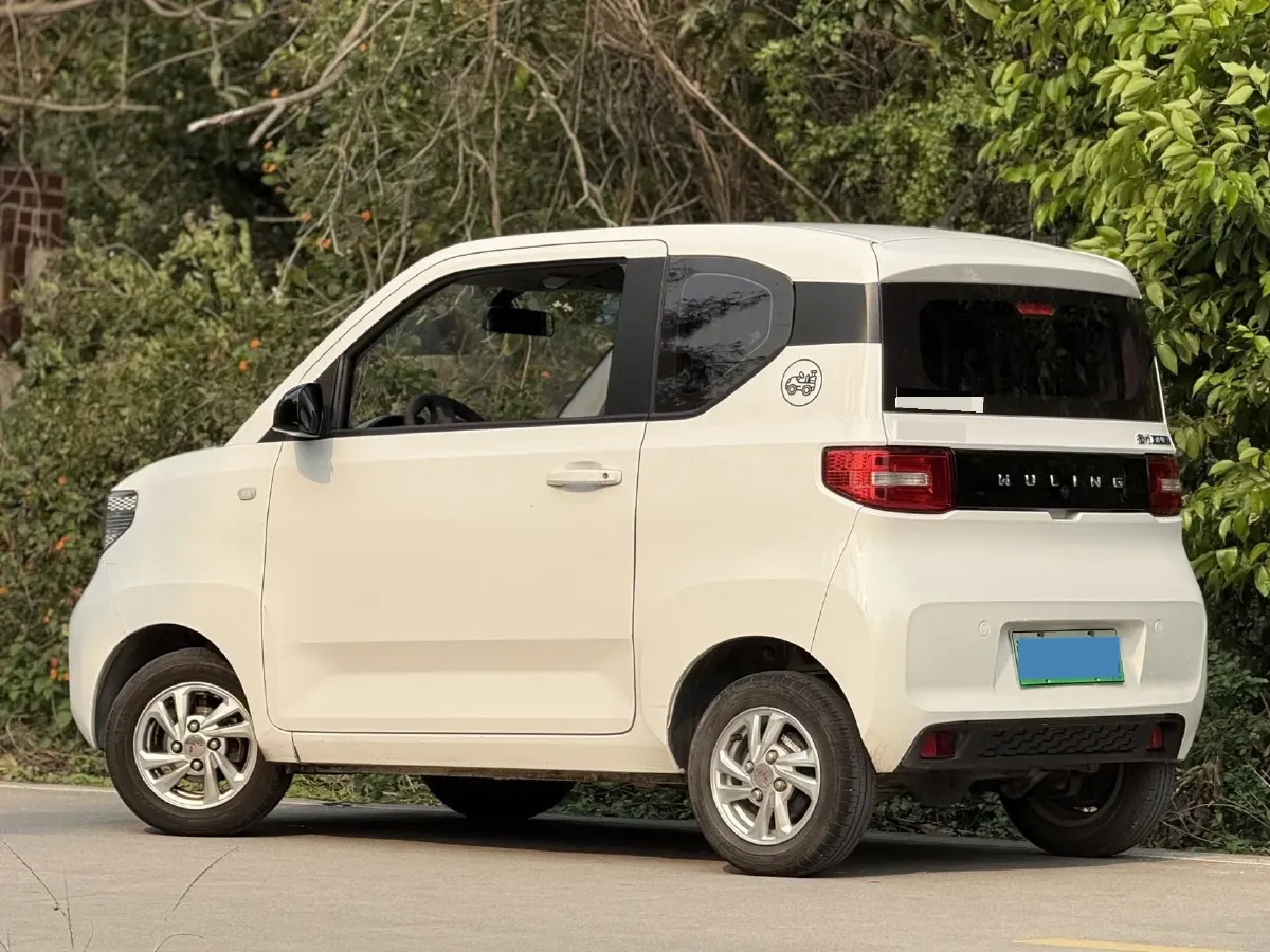 2020 WuLing HongGuang MINI EV BEV 9KWH,autocango,china used car exporter,china ev exporter,chinese used car exporter,chinese used ev exporter