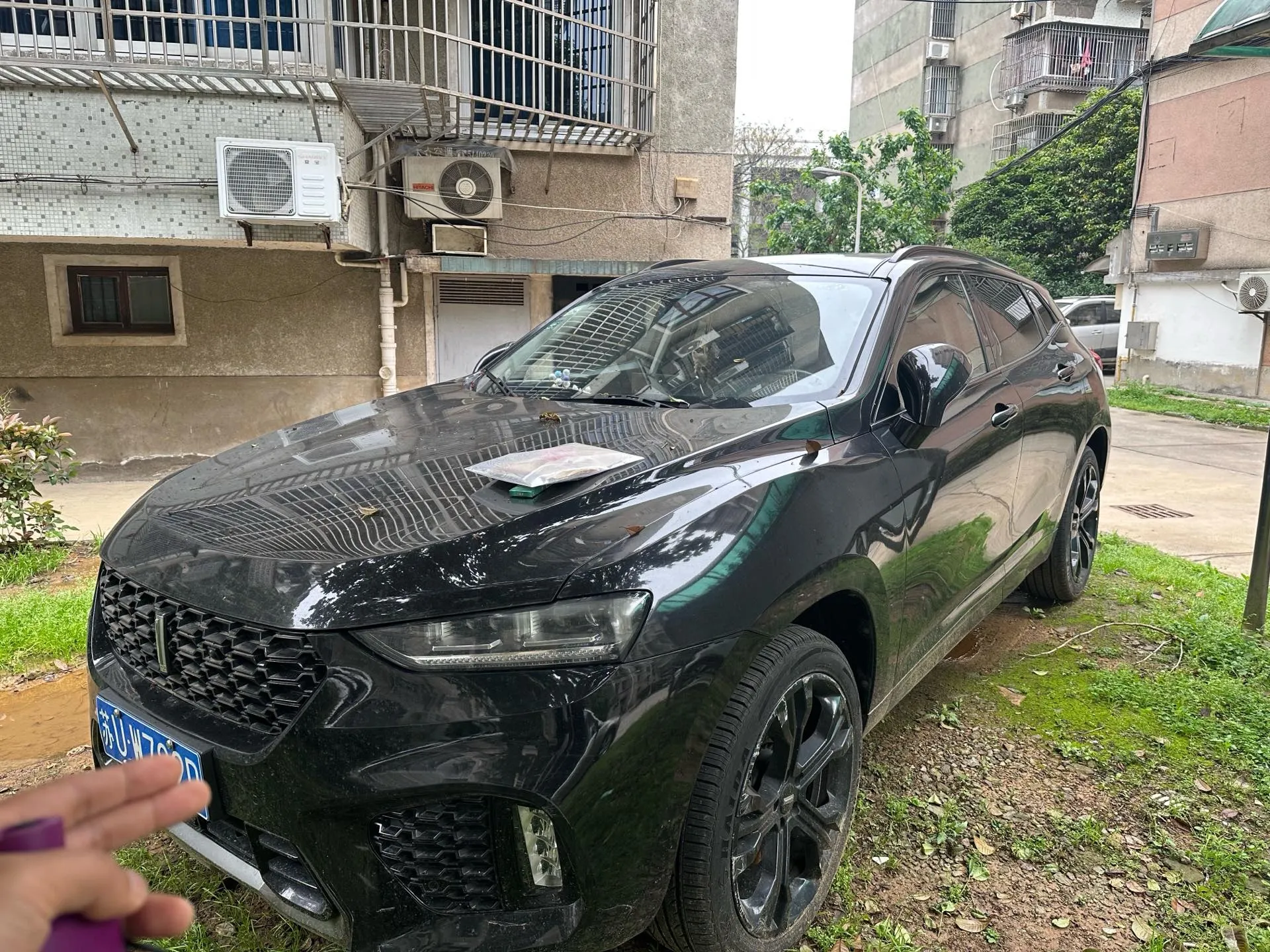 2017 WEY VV7 2.0T 234HP L4 7DCT