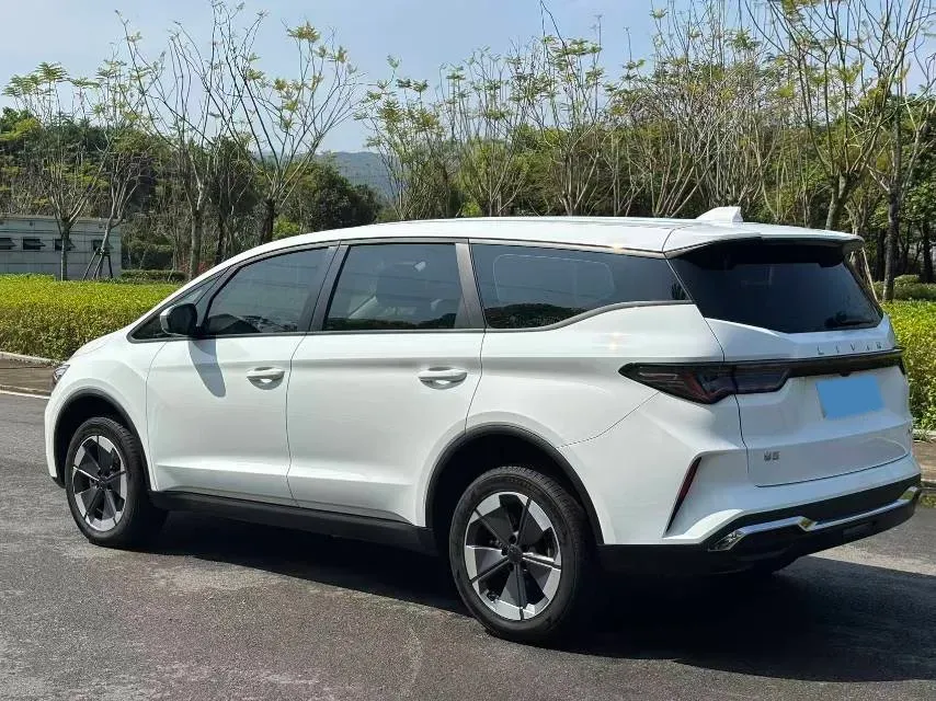 2025 Livan 8 BEV 68.03KWH,autocango,china used car exporter,china ev exporter,chinese used car exporter,chinese used ev exporter